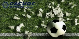 ca cuoc bong da sin88