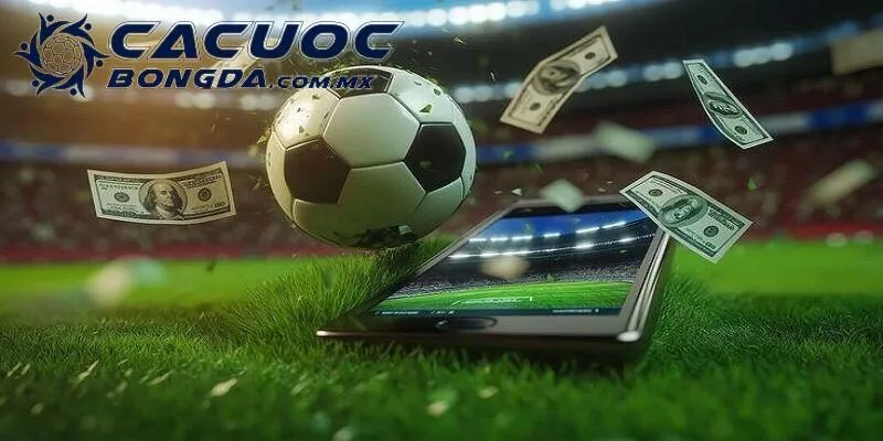 Cá Cược Bóng Đá Sin88 - Đánh Giá Nền Tảng Uy Tín Năm 2025 3 Lưu ý cần biết khi tham gia cá cược bóng đá Sin88