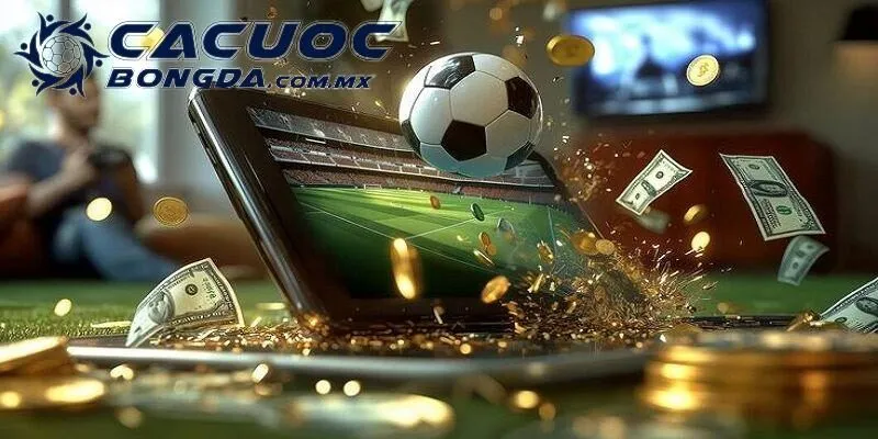 Cá Cược Bóng Đá Sin88 - Đánh Giá Nền Tảng Uy Tín Năm 2025 1 Cá cược bóng đá Sin88 - Nền tảng nhận về nhiều phản hồi tốt 2025