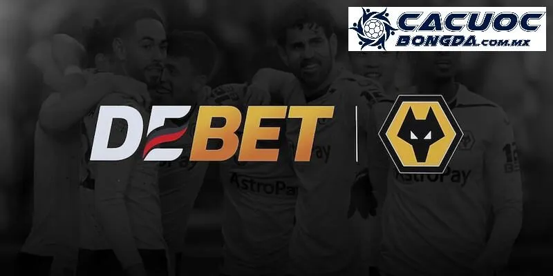 Thông tin khái quát về nhà cái cá cược Debet