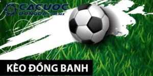 Kèo Đồng Banh: Giải Mã Toàn Diện Và Kinh Nghiệm Hiệu Quả 4 keo dong banh