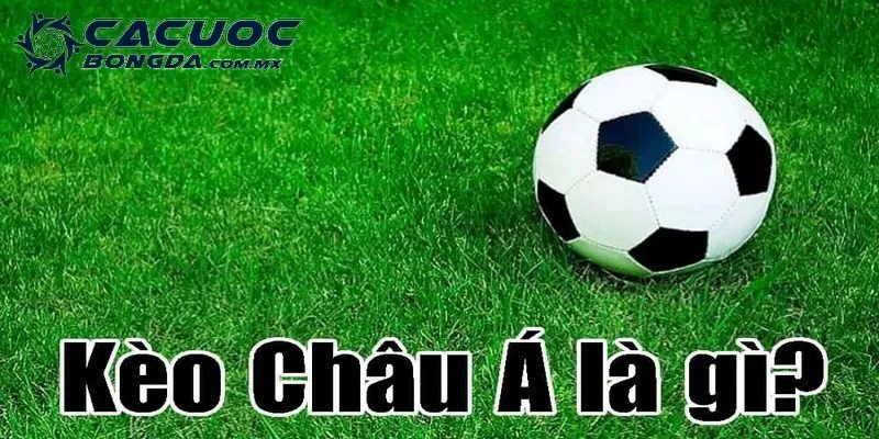 Soi kèo châu Á được nhiều thành viên quan tâm