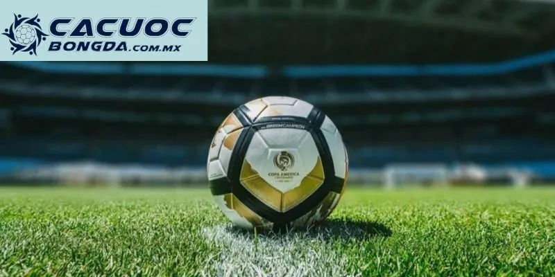 Chia sẻ cho bạn về những thông tin hệ thống tại đây cung cấp 