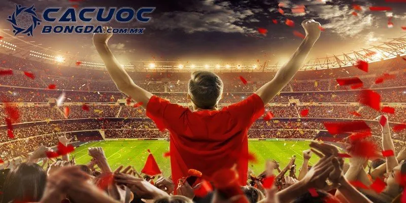 Thông tin chung về web cá cược bóng đá Debet 