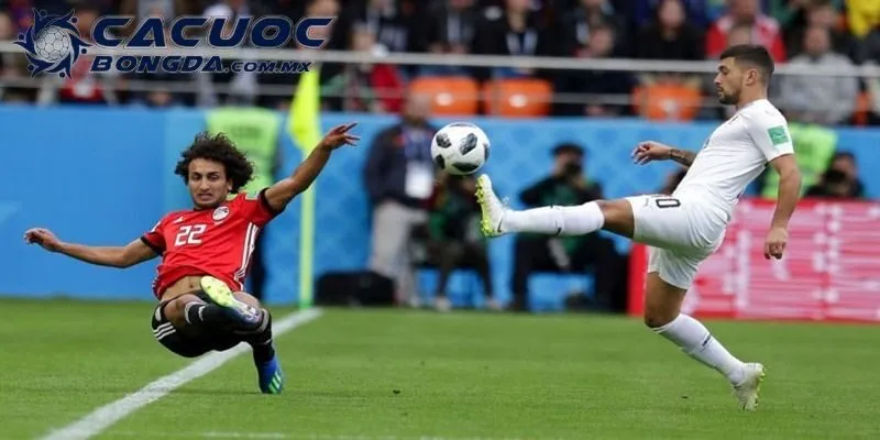 Mục tiêu của trang cá cược hàng đầu châu Á