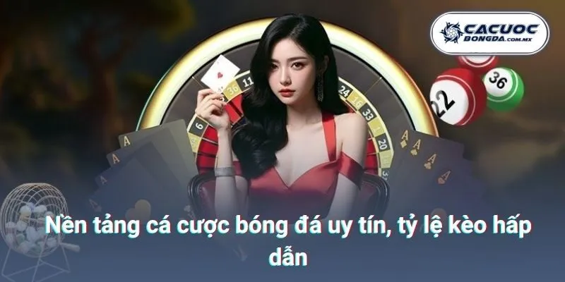 Nền tảng cá cược bóng đá uy tín, tỷ lệ kèo hấp dẫn