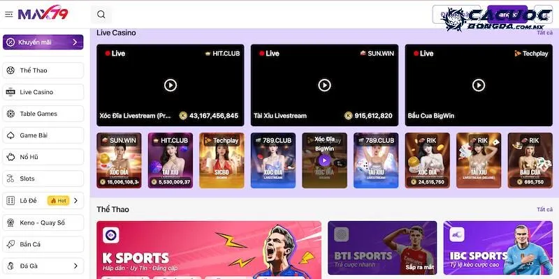 Max79 - Thiên đường giải trí uy tín hàng đầu năm 2025 2 Sản phẩm và dịch vụ nổi bật có tại Max79