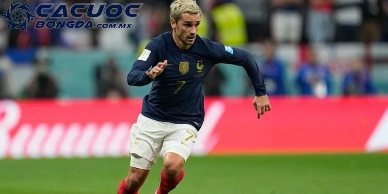 Tin tức của trang hữu ích, chuẩn xác