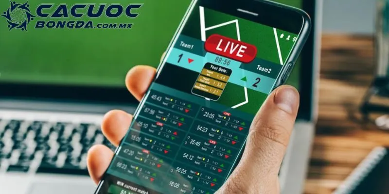 Cập nhật tỷ lệ kèo bóng đá của nhà cái