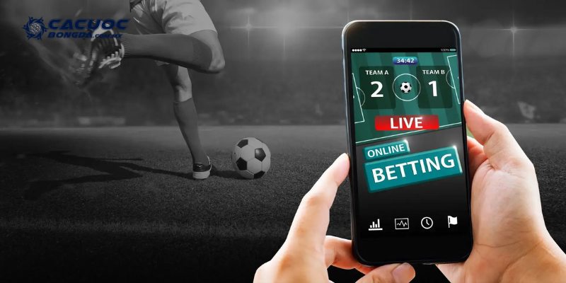 Livescore - Nắm Trọn Tỷ Số Trận Đấu Nóng Hổi Trong Tầm Tay 24 Livescore giúp người chơi đưa ra lựa chọn có cơ sở