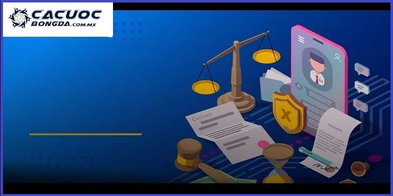 Tổng quan về chính sách miễn trừ trách nhiệm