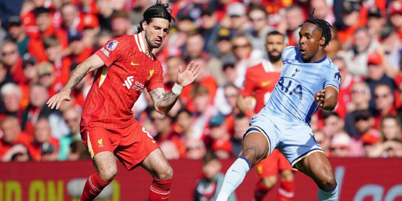 Tinh thần của cả Liverpool vs Tottenham Hotspur đều đang không tốt